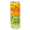 Joy's De'Lights Arizona Rickey Mango Lime 24 Pack