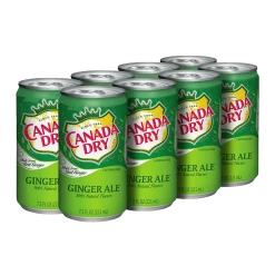 Joy's De'Lights All Candy Canada Dry 12 Pack Carton