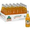 Joy's De'Lights Parties Jarritos Mango 24 Pack